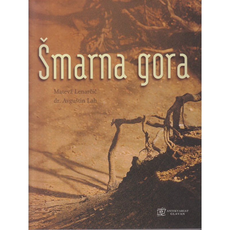 Matevž Lenarčič - Šmarna gora