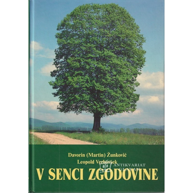 Davorin Žunkovič - V senci zgodovine