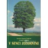 Davorin Žunkovič - V senci zgodovine