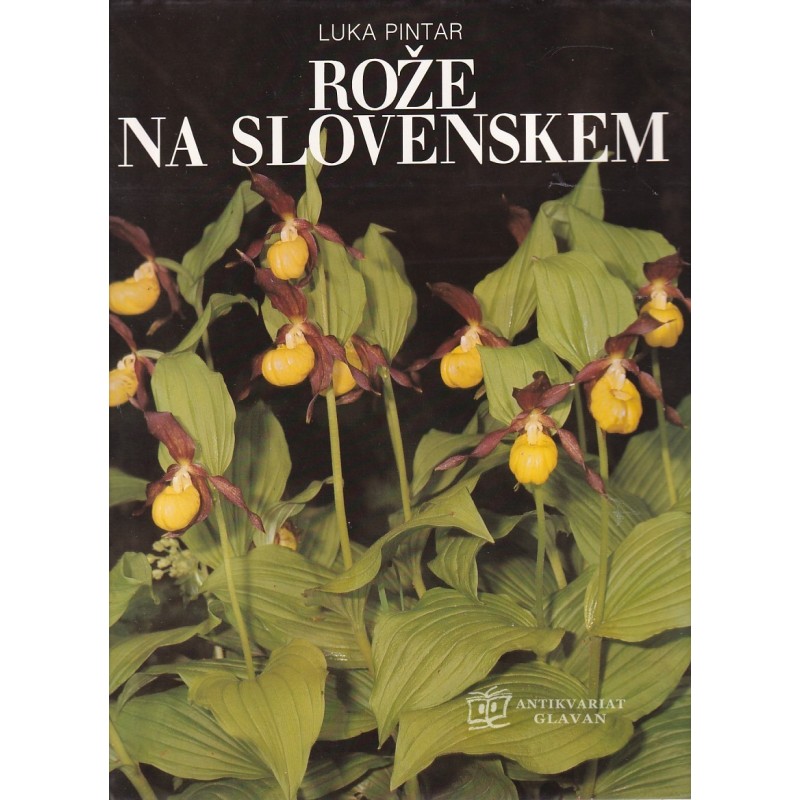 Luka Pintar - Rože na slovenskem