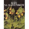 Luka Pintar - Rože na slovenskem