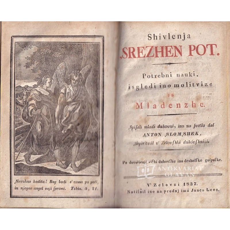 Anton Martin Slomšek - Shivlenja srezhen pot
