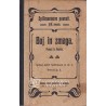 Joseph Spillmann - Boj in zmaga