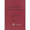 Franc Bernik - Zgodovina fare Domžale