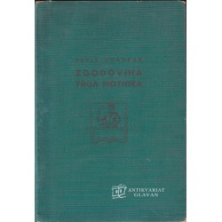 Pavle Urankar - Zgodovina trga Motnika