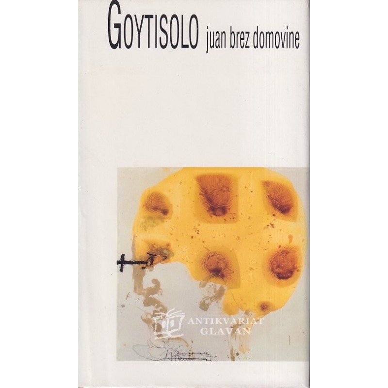 Juan Goytisolo - Juan brez domovine