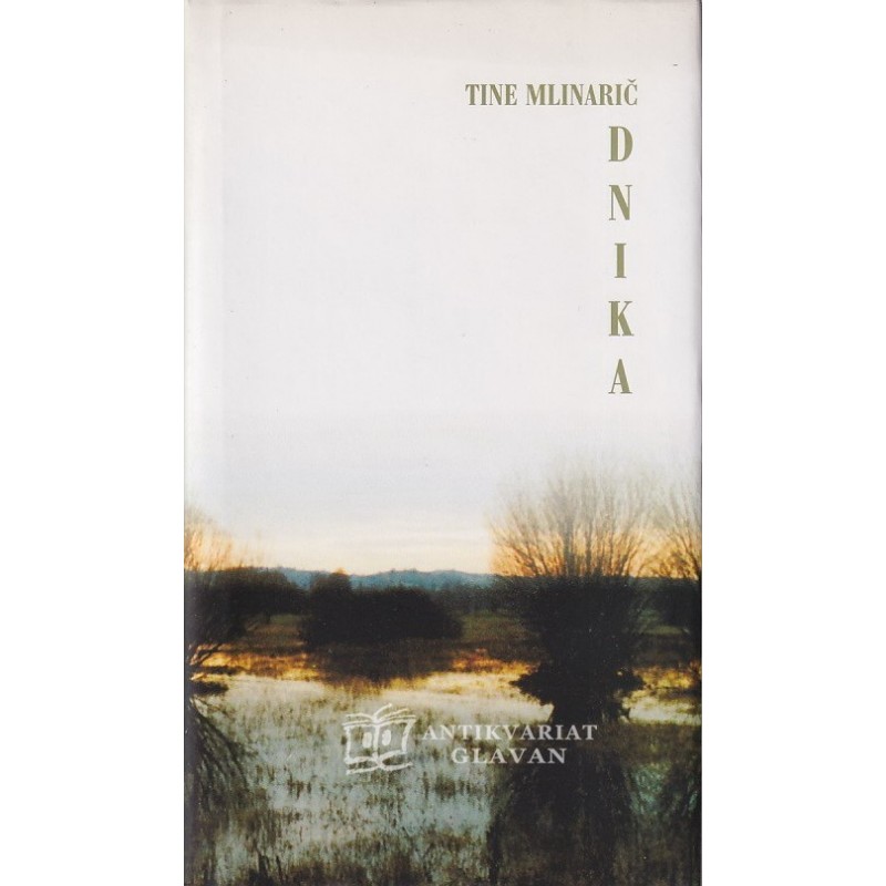 Tine Mlinarič - Dnika