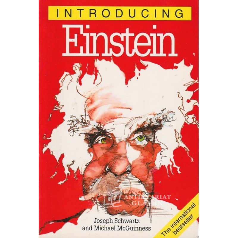 Joseph Schwartz - Introducing Einstein