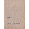 Bojan Pisk - Upadla gladina