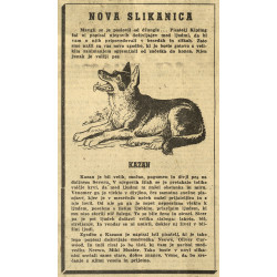 Samo Kristan in Rok Glavan - Bibliografija vinjet in napovednikov Mikija Mustra