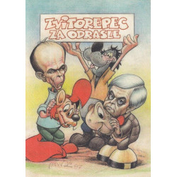 1. Miki Muster  - lot