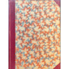 36. SLOVENKA : glasilo slovenskega ženstva - letnik IV. 1900