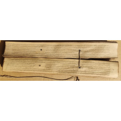 175. Zapiski v sanskrtu, domnevno medicina