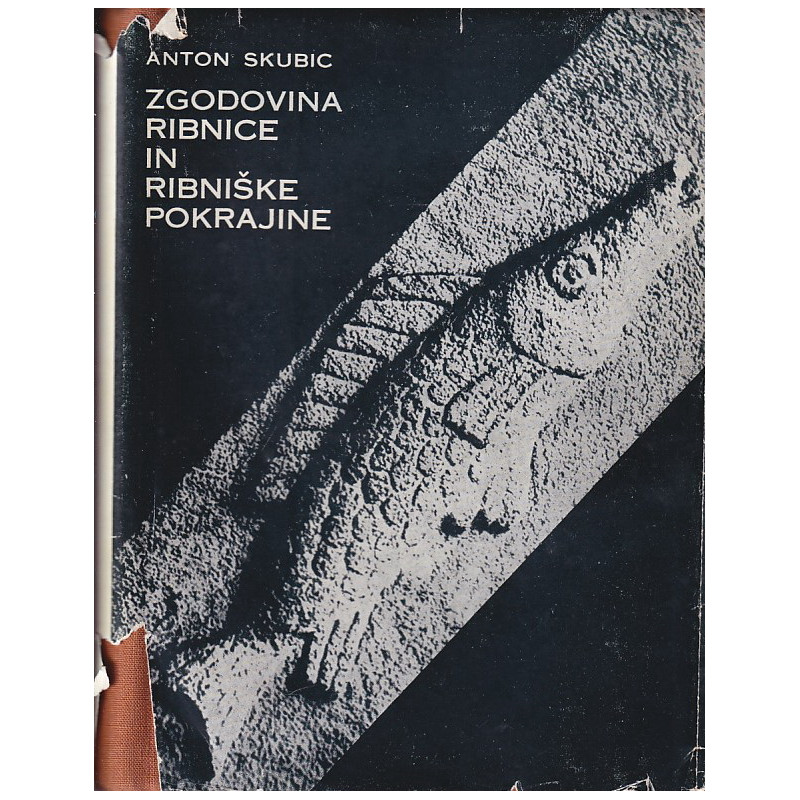 Anton Skubic - Zgodovina Ribnice in ribniške pokrajine