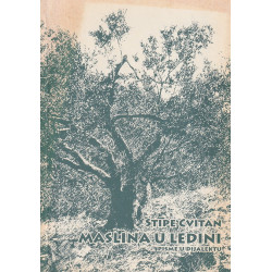 Stipe Cvitan - Maslina u ledini