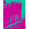 Vidiki minimalnega : Minimalizem v slovenski umetnosti 1968 - 1980