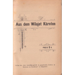 Aus dem Wilajet Karnten 1913