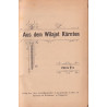 Aus dem Wilajet Karnten 1913