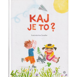 Kaj je to?