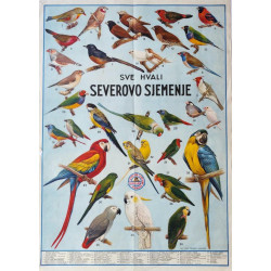 89. Semenarna Sever Ljubljana - lot plakatov