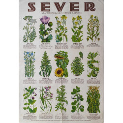 89. Semenarna Sever Ljubljana - lot plakatov