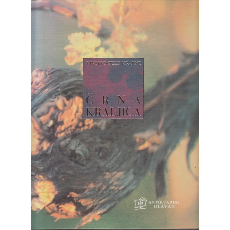Črna kraljica : vinstvo Bele krajine