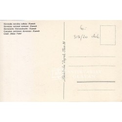 Milan Vukić - Slovenska narodna nošnja: Kamnik