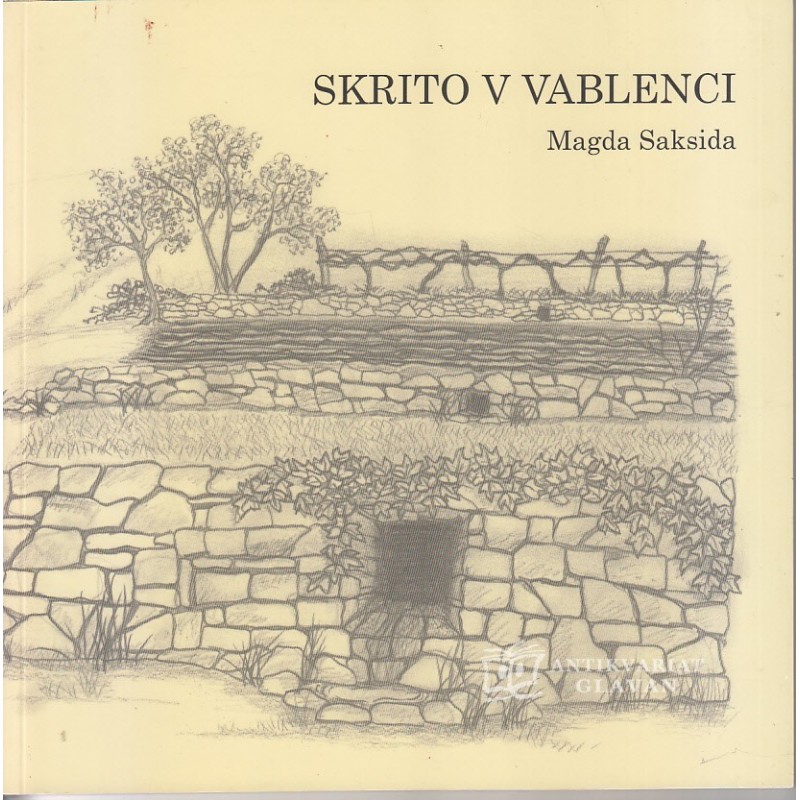 Magda Saksida - Skrito v vablenci
