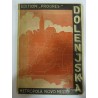 Dolenjska metropola Novo mesto