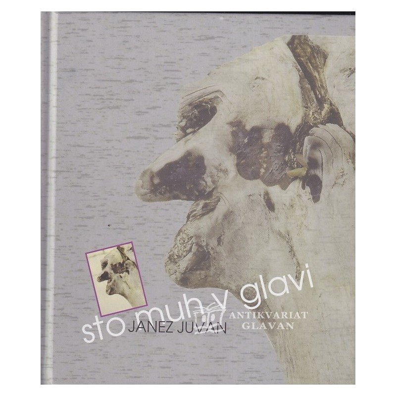 Janez Juvan - Sto muh v glavi