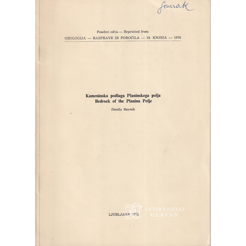 Danilo Ravnik - Kameninska podlaga Planinskega polja
