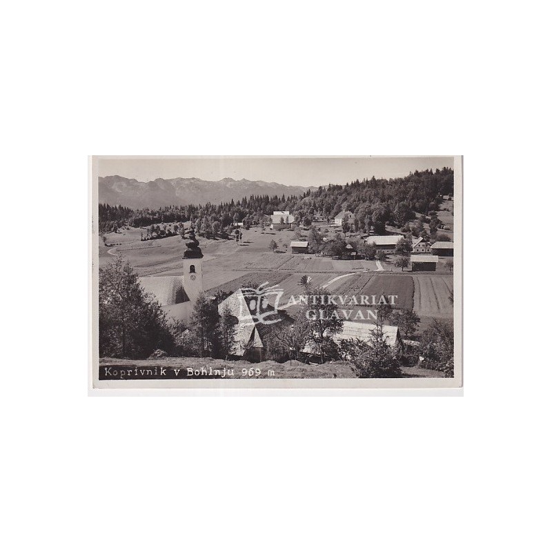 Koprivnik v Bohinju