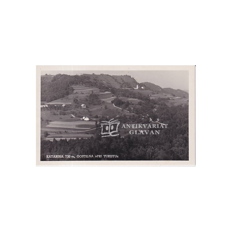 Ljubljana - Katarina, gostilna "Pri Turistu"