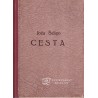 Joža Šeligo - Cesta
