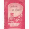 Maria Ragazzi - Vodnjak je globok